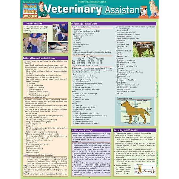 獣医　生理学　Veterinary Physiology 第二版 Cunningham's Textbook of Veterinary Physiology 兽医生理学书